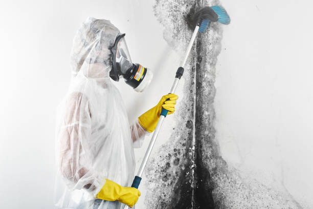 Best Air Quality Testing for Mold Spores  in Spring Ridge, MD