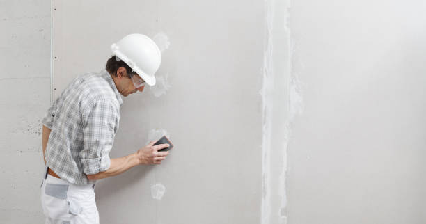 Best Post-Construction Mold Inspection  in Spring Ridge, MD