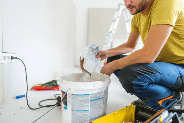 Best Mold Damage Restoration  in Spring Ridge, MD