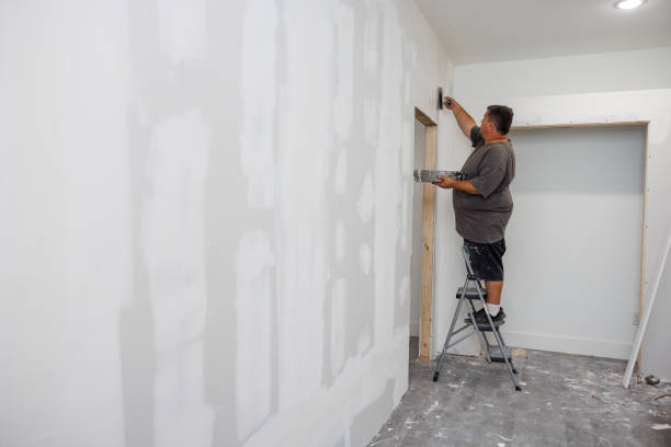 Forensic Mold Investigation in Spring Ridge, MD
