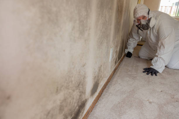 Best Industrial Mold Remediation  in Spring Ridge, MD