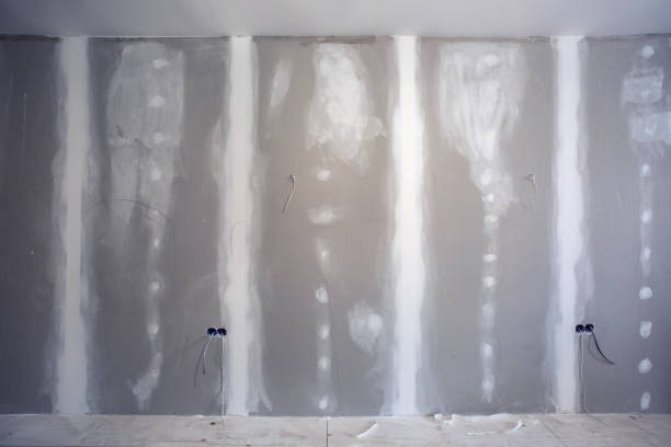 Best Real Estate Mold Inspection  in Spring Ridge, MD